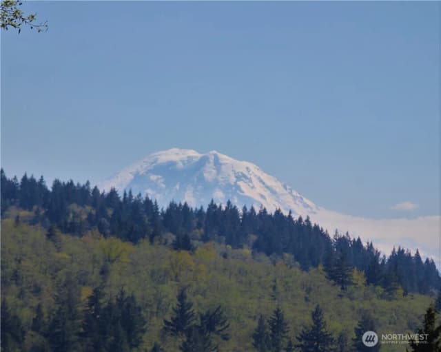 Property photo for 17635 Se Cougar Mountain Drive, Bellevue photo 2
