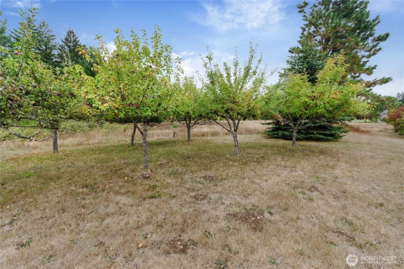 Property photo for 21317 23rd Ave E, Spanaway photo 33
