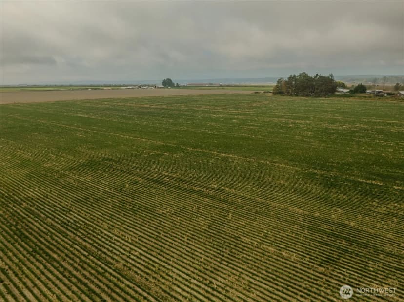 Property photo for 0 Leque Road, Stanwood photo 10