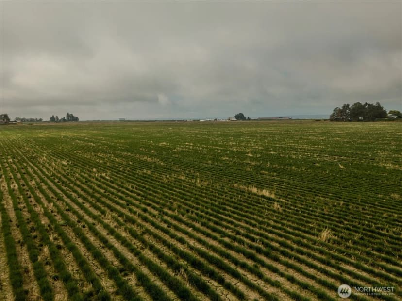 Property photo for 0 Leque Road, Stanwood photo 8