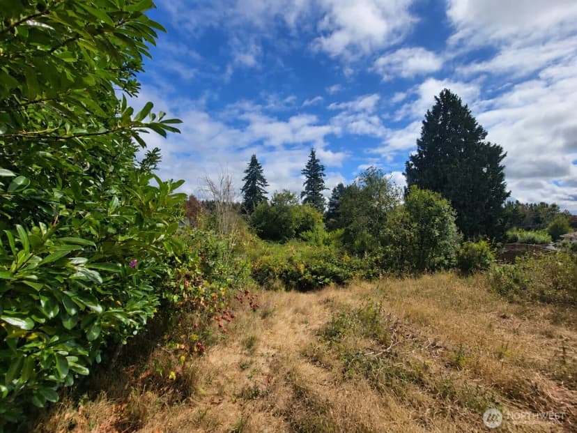 Property photo for 3460 Forest Drive Ne, Bremerton photo 21