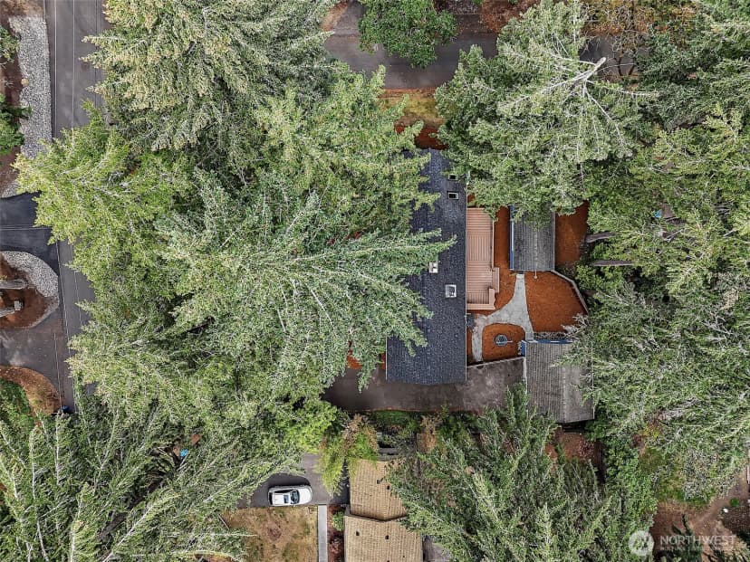 Property photo for 10903 Meadow Road Sw, Lakewood photo 40
