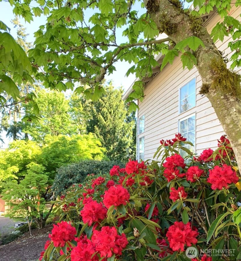 Property photo for 12809 Ne 201st Place, Bothell photo 37