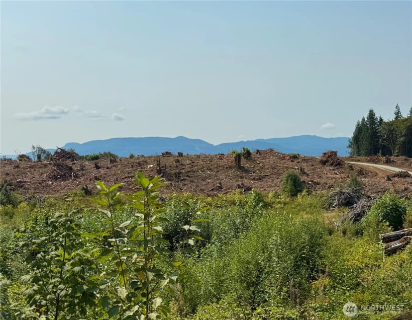 Property photo for 27419 Old Pipeline Road, Monroe photo 26