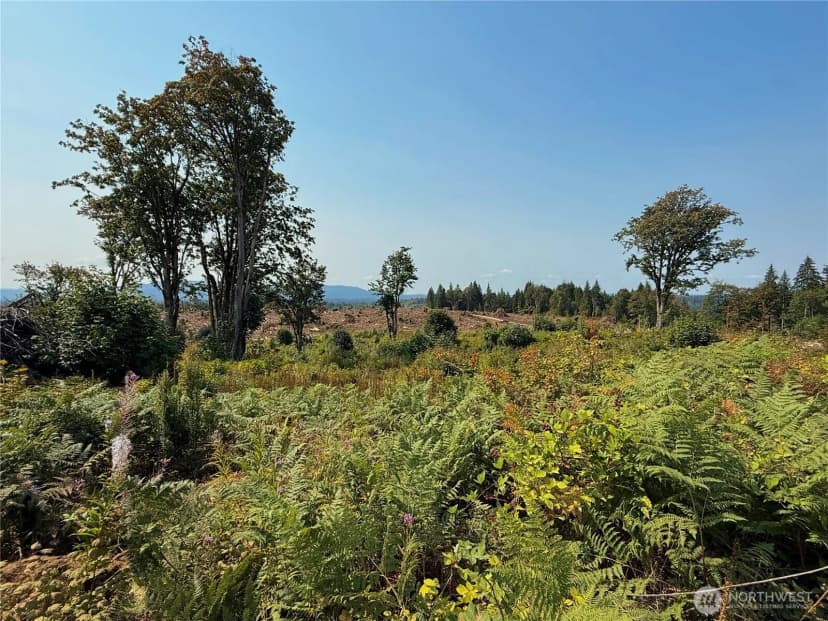 Property photo for 27419 Old Pipeline Road, Monroe photo 11