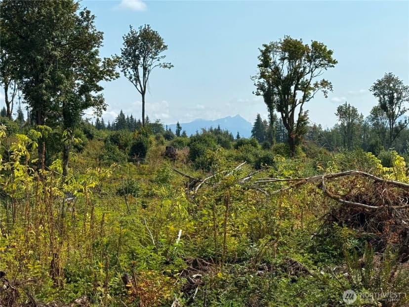 Property photo for 27419 Old Pipeline Road, Monroe photo 10
