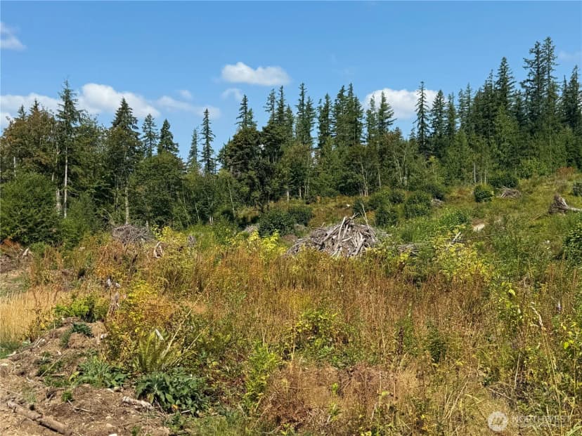 Property photo for 27419 Old Pipeline Road, Monroe photo 30
