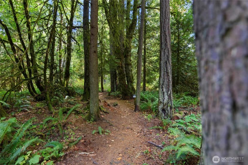 Property photo for 6894 Ne Koura Road, Bainbridge Island photo 40