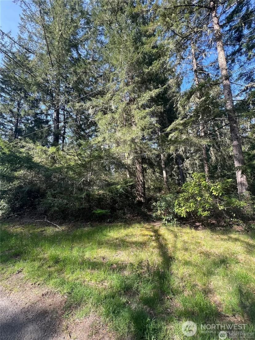Property photo for 10702 Pioneer Drive, Anderson Island photo 6