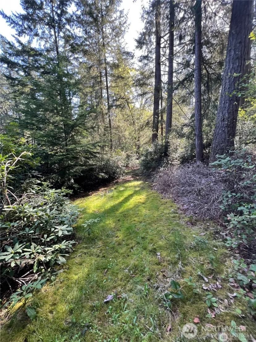 Property photo for 10702 Pioneer Drive, Anderson Island photo 4