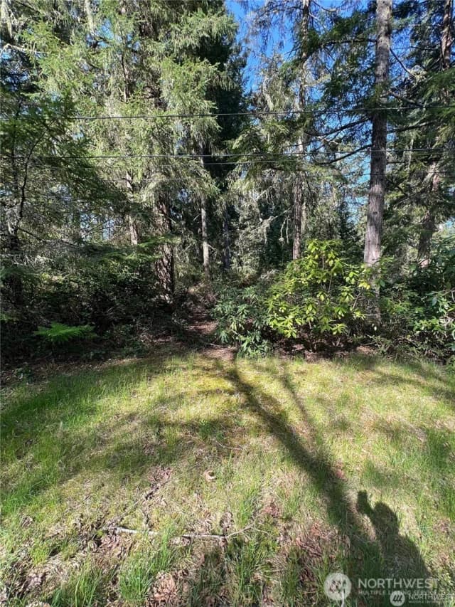 Property photo for 10702 Pioneer Drive, Anderson Island photo 5