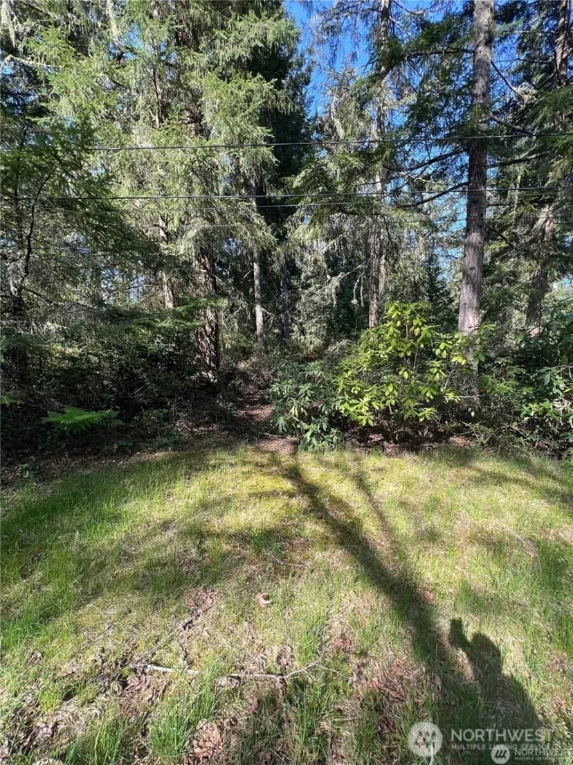 Property photo for 10702 Pioneer Drive, Anderson Island photo 5