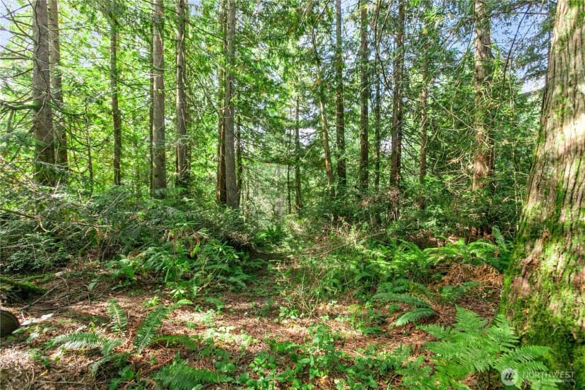 Property photo for 105 Peter Hagen Road Nw, Seabeck photo 34