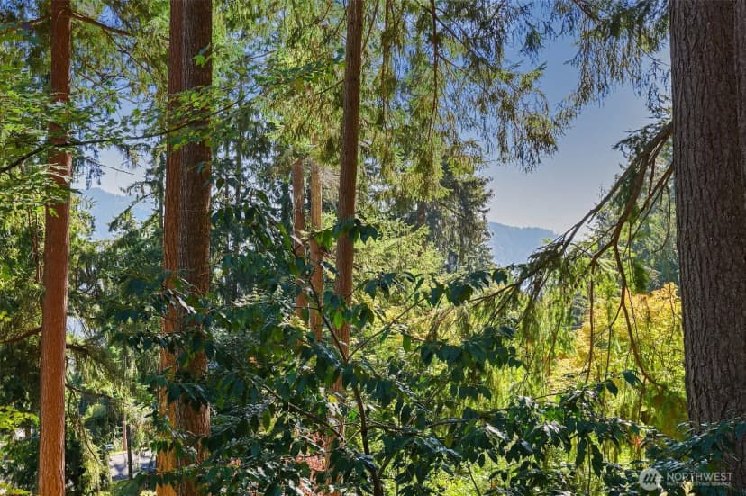 Property photo for 1115 Wildwood Boulevard Sw, Issaquah photo 9