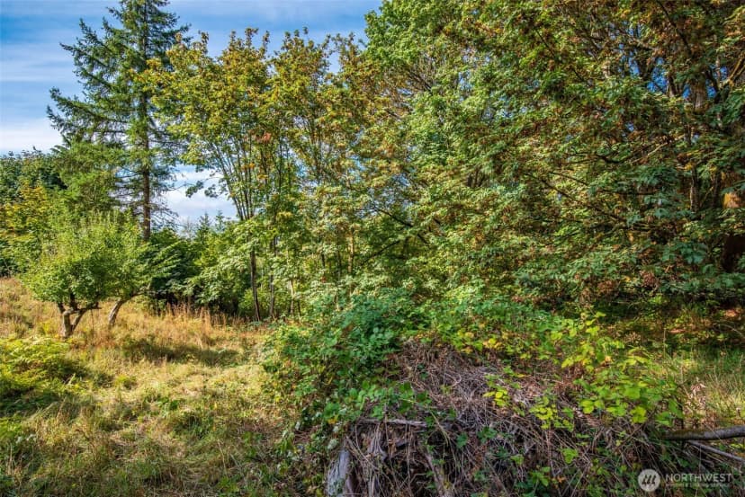 Property photo for 12406 114th Avenue Nw, Gig Harbor photo 12