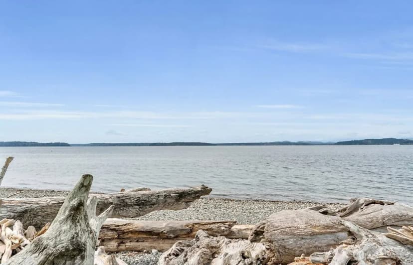 Property photo for 4030 Beach Drive Sw, Seattle photo 39