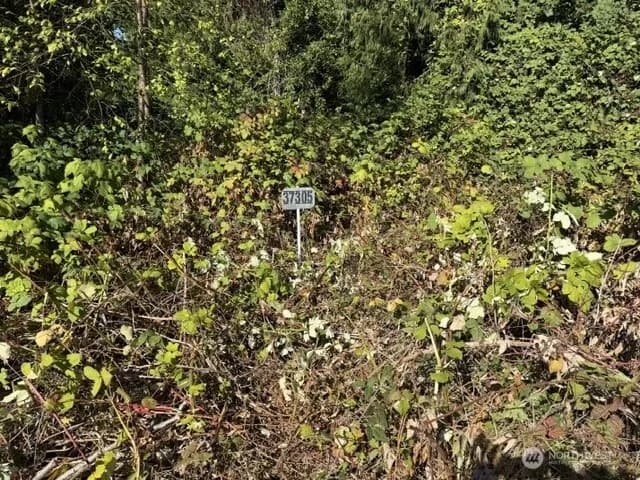 Property photo for 37305 34th Avenue S, Auburn photo 2