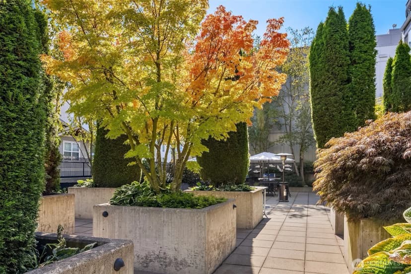 Property photo for 812 5th Avenue N #410, Seattle photo 21