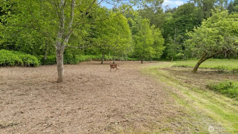 Property photo for 6 Xxx S Machias Road, Snohomish photo 11