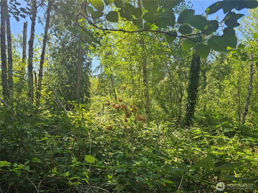 Property photo for 0 Mile Hill Drive Se, Port Orchard photo 2