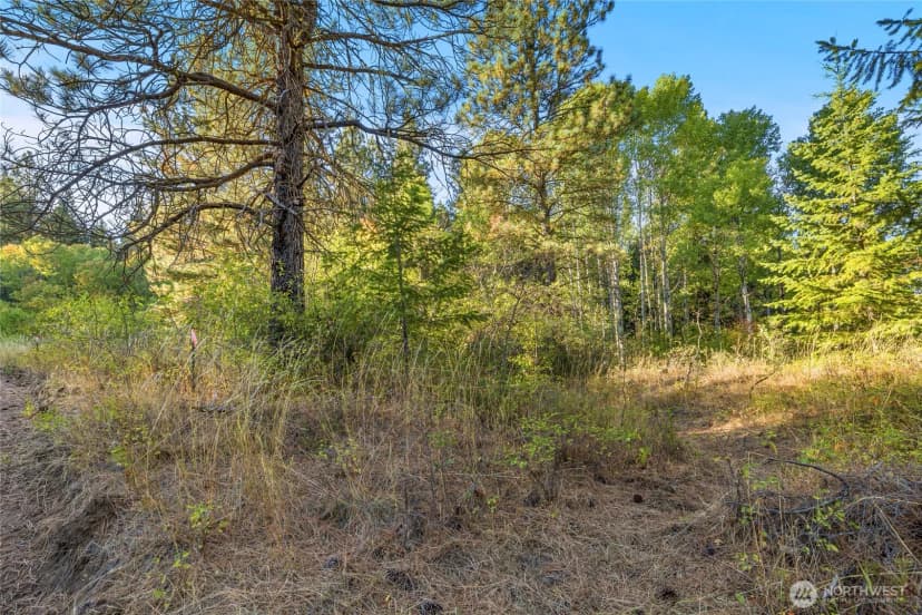Property photo for 356 Swauk Creek Lane, Cle Elum photo 22