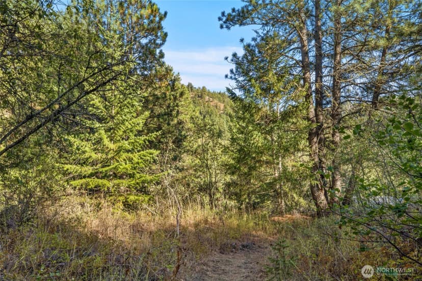 Property photo for 356 Swauk Creek Lane, Cle Elum photo 25