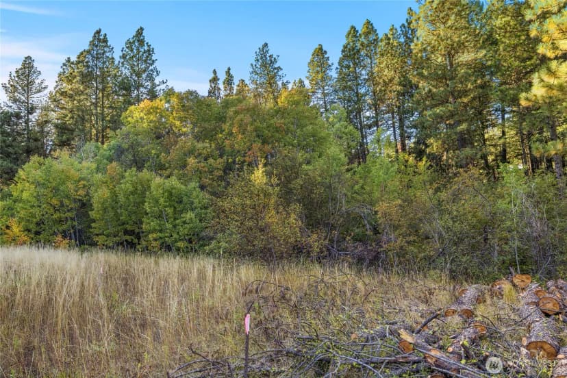 Property photo for 356 Swauk Creek Lane, Cle Elum photo 23