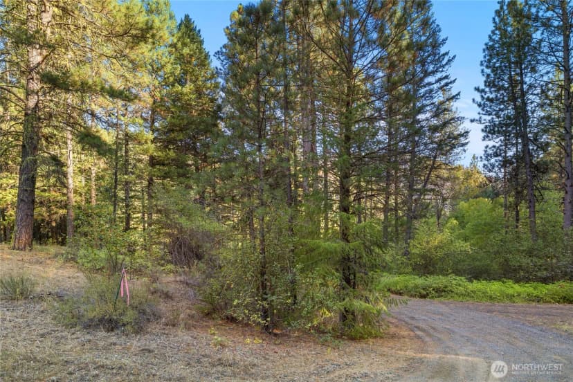 Property photo for 356 Swauk Creek Lane, Cle Elum photo 30
