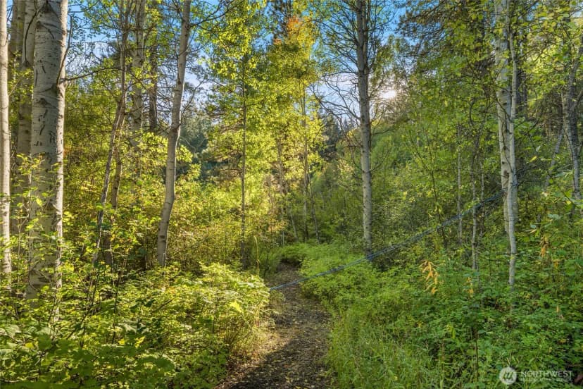 Property photo for 356 Swauk Creek Lane, Cle Elum photo 18