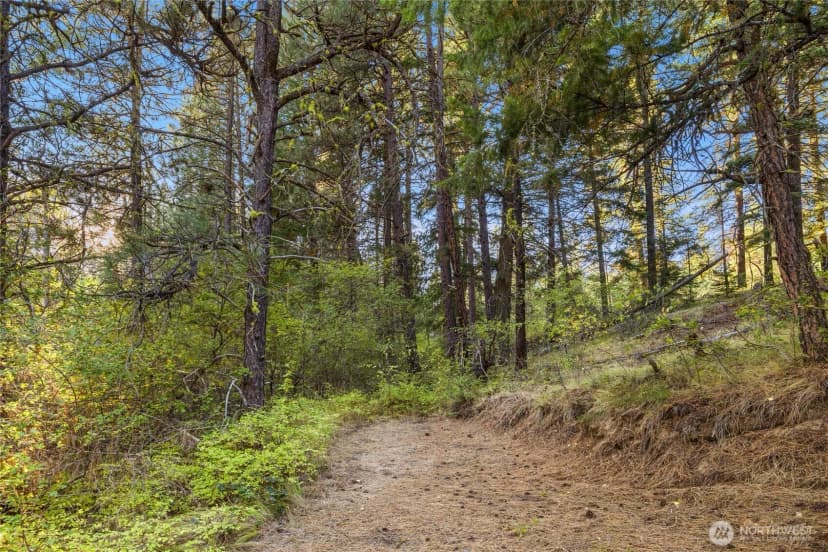 Property photo for 356 Swauk Creek Lane, Cle Elum photo 28