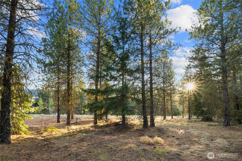 Property photo for 131 Gold Leaf Lane, Cle Elum photo 10