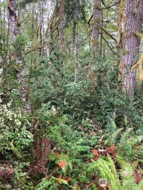 Property photo for 16822 74th Street Nw, Vaughn photo 4