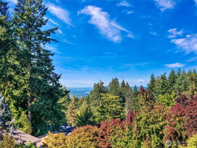 Property photo for 15724 Se 50th Street, Bellevue photo 4