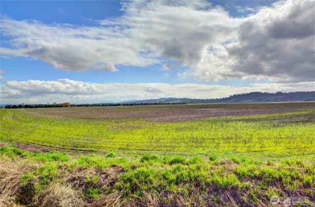 Property photo for 6910 Marsh Road, Snohomish photo 4