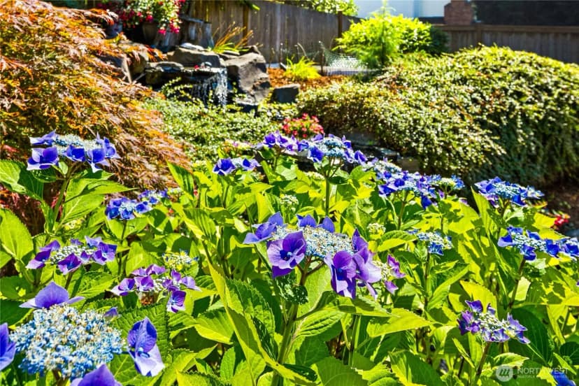 Property photo for 22525 Se 46th Place, Sammamish photo 33