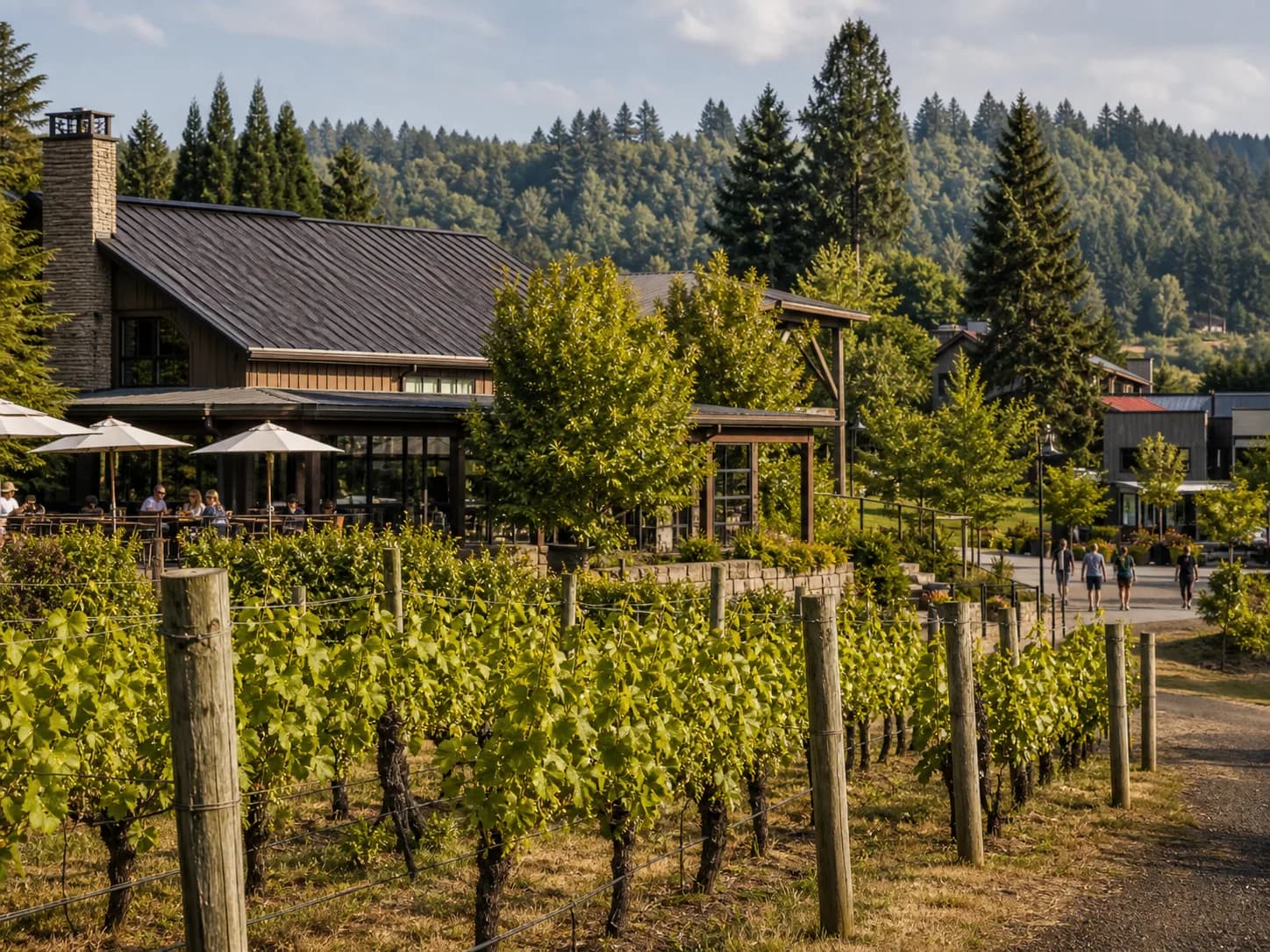 Woodinville wine country with vineyards wineries and wooded Eastside hillsides