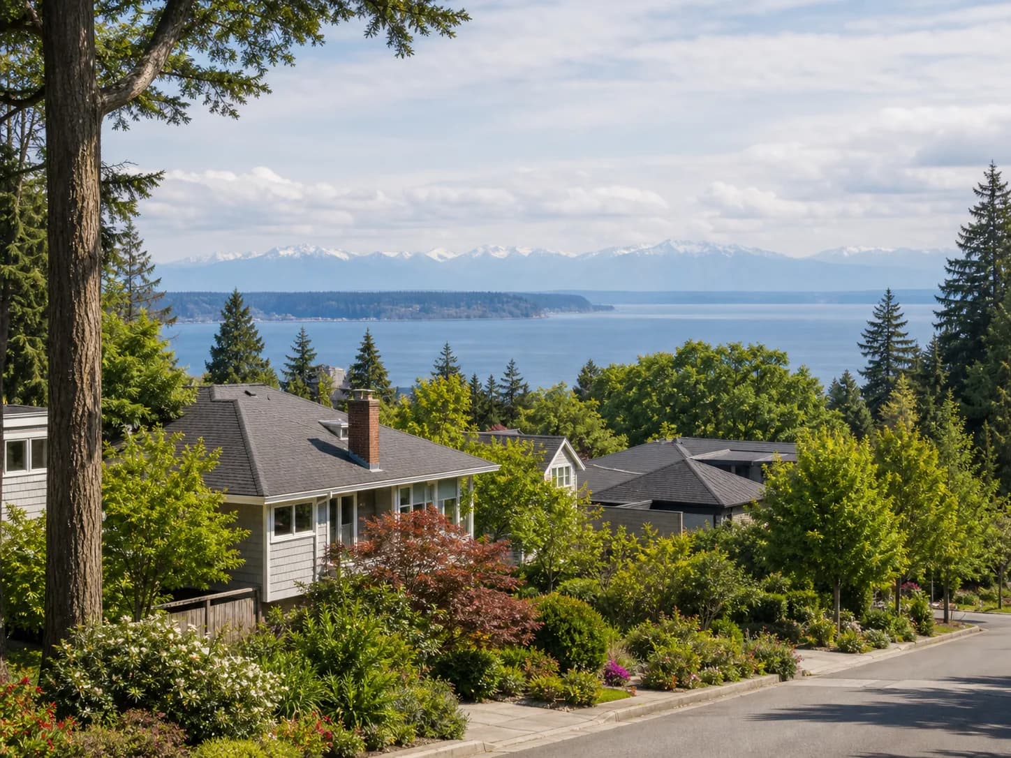 Magnolia Seattle luxury homes near Discovery Park