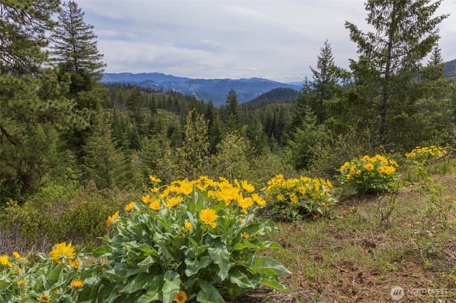 Property photo for 0 Forest Service 6601-550 Rd #B, Leavenworth