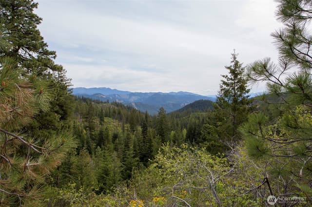 Property photo for 0 Forest Service 6601-550 Rd #C, Leavenworth