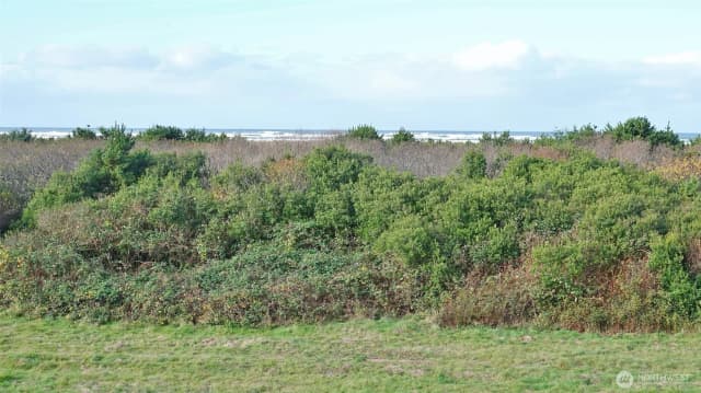 Property photo for 643 Ocean Shores Boulevard Nw #303, Ocean Shores