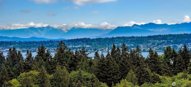 Property photo for 1259 23rd Avenue E, Seattle